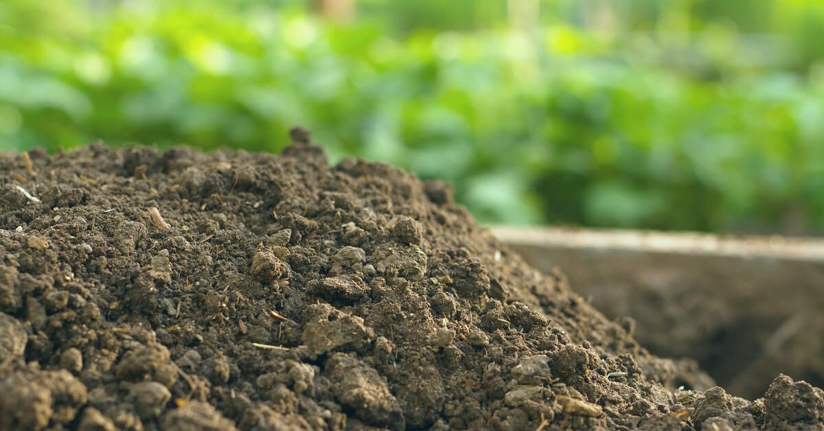 Какая почва на вашем участке – как определить и улучшить состав грунта .